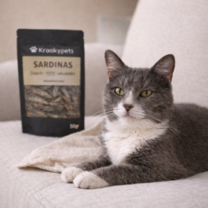 Gato gris relajado junto a snacks naturales Krookypets de sardinas deshidratadas